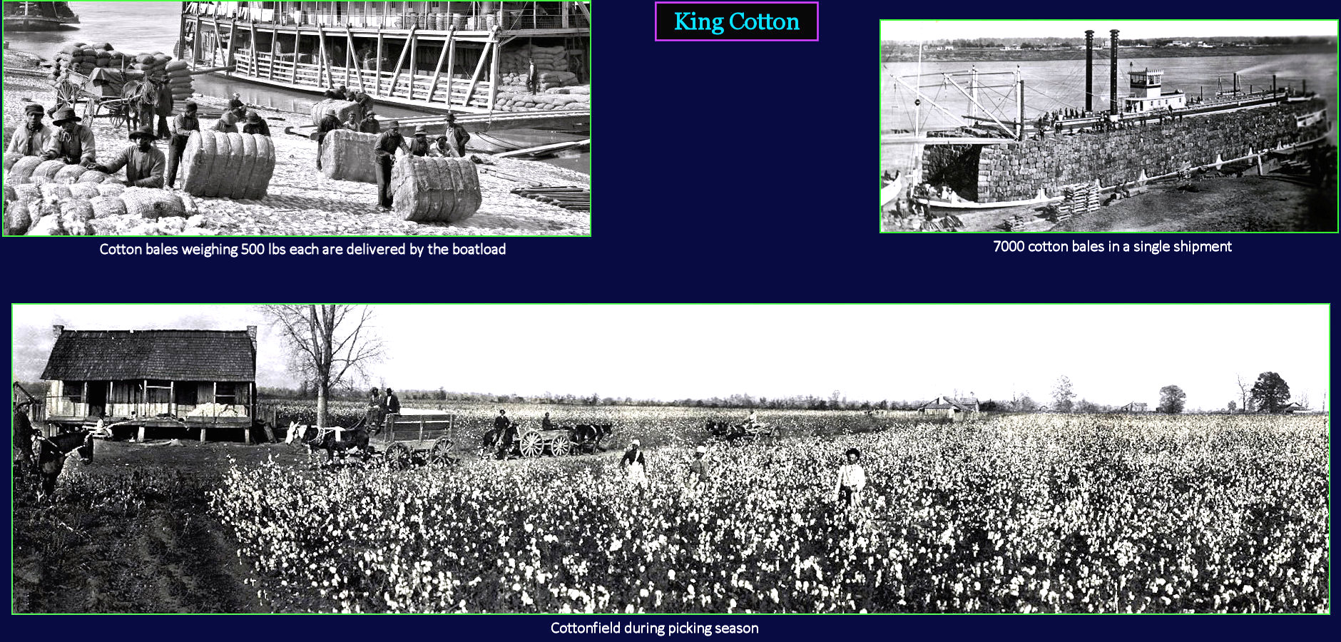 King Cotton, 1850